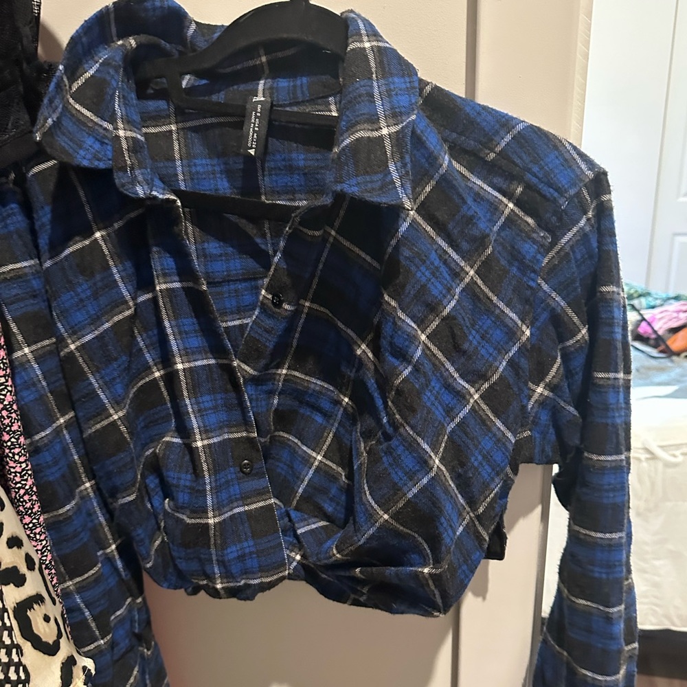Zara crop top